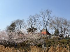 -郭守敬纪念馆