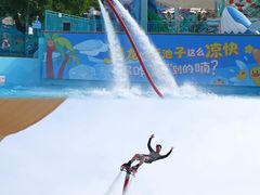 -海合安成都极地海洋公园