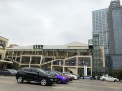 -上海首尔丽格医疗美容医院