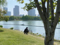 -尚贤河湿地