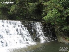 -祁门牯牛降观音堂风景区