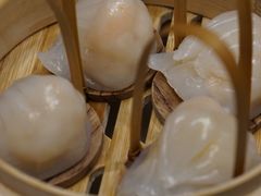 -金鼎轩(方庄天坛店)