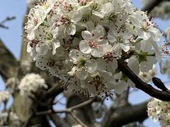 -南京枫彩漫城