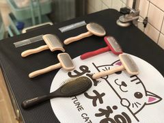 克莉丝汀森梳子-猫大福·Fortune Cat猫舍(百子湾店)