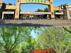 -北京野生动物园