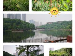 -重庆彩云湖湿地公园