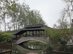 -合肥滨湖国家森林公园