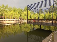 -杨柳青庄园