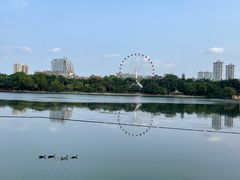 -南宁南湖公园