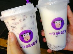 -一只酸奶牛(八一路店)
