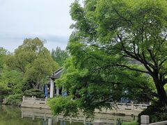 -杭州西子湖四季酒店-WL BISTRO西湖餐厅(灵隐路店)