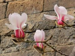 -东华门大街小区