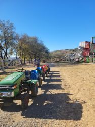 -浅山蜜塘奇妙乐园·亲子营地