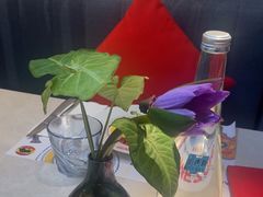 -Mezomd曼索蒂西班牙餐厅(广粤店)
