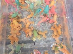 本溪路花鸟市场-本溪路花鸟市场(江浦路1709弄小区店)