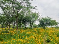 -盘龙城国家考古遗址公园