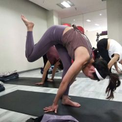 -榕树上·瑜伽普拉提