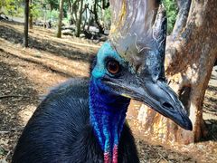 -费瑟代尔野生动物园