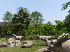 景点-上海海湾国家森林公园