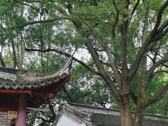 -秋霞圃