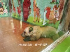 -杭州野生动物世界