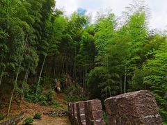 -仙霞关景区