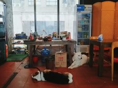 -阿尔法海鲜排档(爱琴海店)