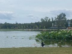 -长春市南湖公园