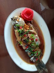 -禾馨·母婴护理月子中心(世纪大道店)