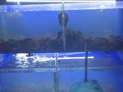 -羊家胡同·龙虾烧烤火锅(龙汇路店)