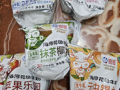 -天津海河华北乳品有限公司