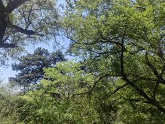 -沈阳市东陵公园