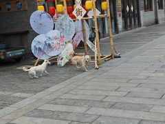 -口岸雕花楼