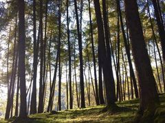 -硗碛藏寨·神木垒景区