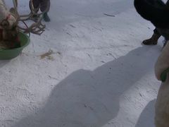 -长白山万达国际滑雪场