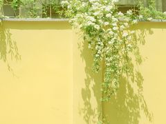-颐和路民国时期公馆风貌区
