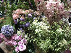 -BEAST野兽派(上海浦东嘉里城店)