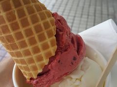 -歎雪糕低糖低脂Gelato冰淇淋