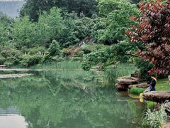 -桃花岭景区