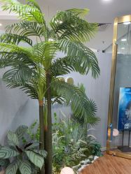 -八佰伴8008星级形象店