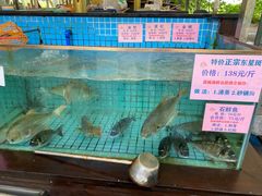 水产区-荔城生鲜盛宴(番禺旗舰店)