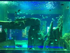 -石家庄海洋公园