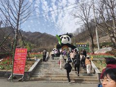 -栾川竹海野生动物园
