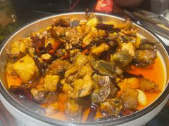 -志晖园圆子鸡·辣子鸡(阳光店)