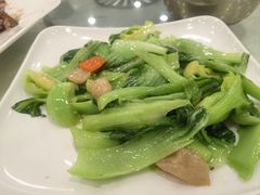 -姚林轩