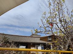 -巍山古城