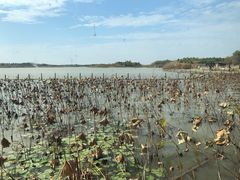 -东滩湿地公园观海楼餐厅