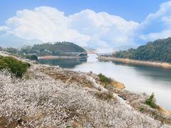 -广州市流溪河国家森林公园