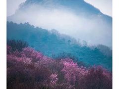 -泰山花样年华景区