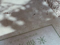 -稀物集咖啡(徽州大道店)